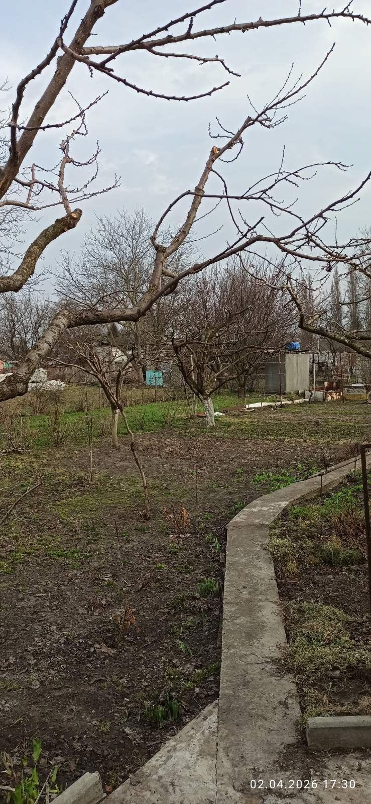 Image 15