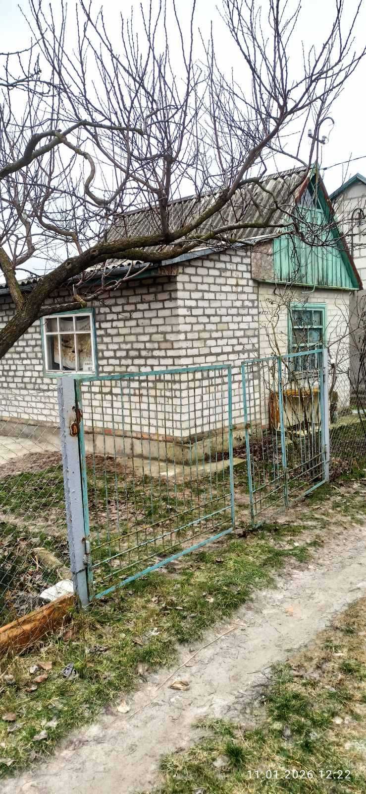 قرية داشا فلاسيفكا سانت ميتشورينك