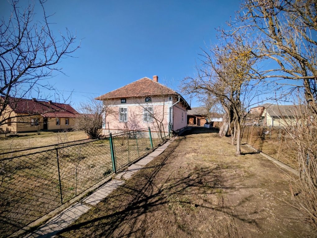 Image 8