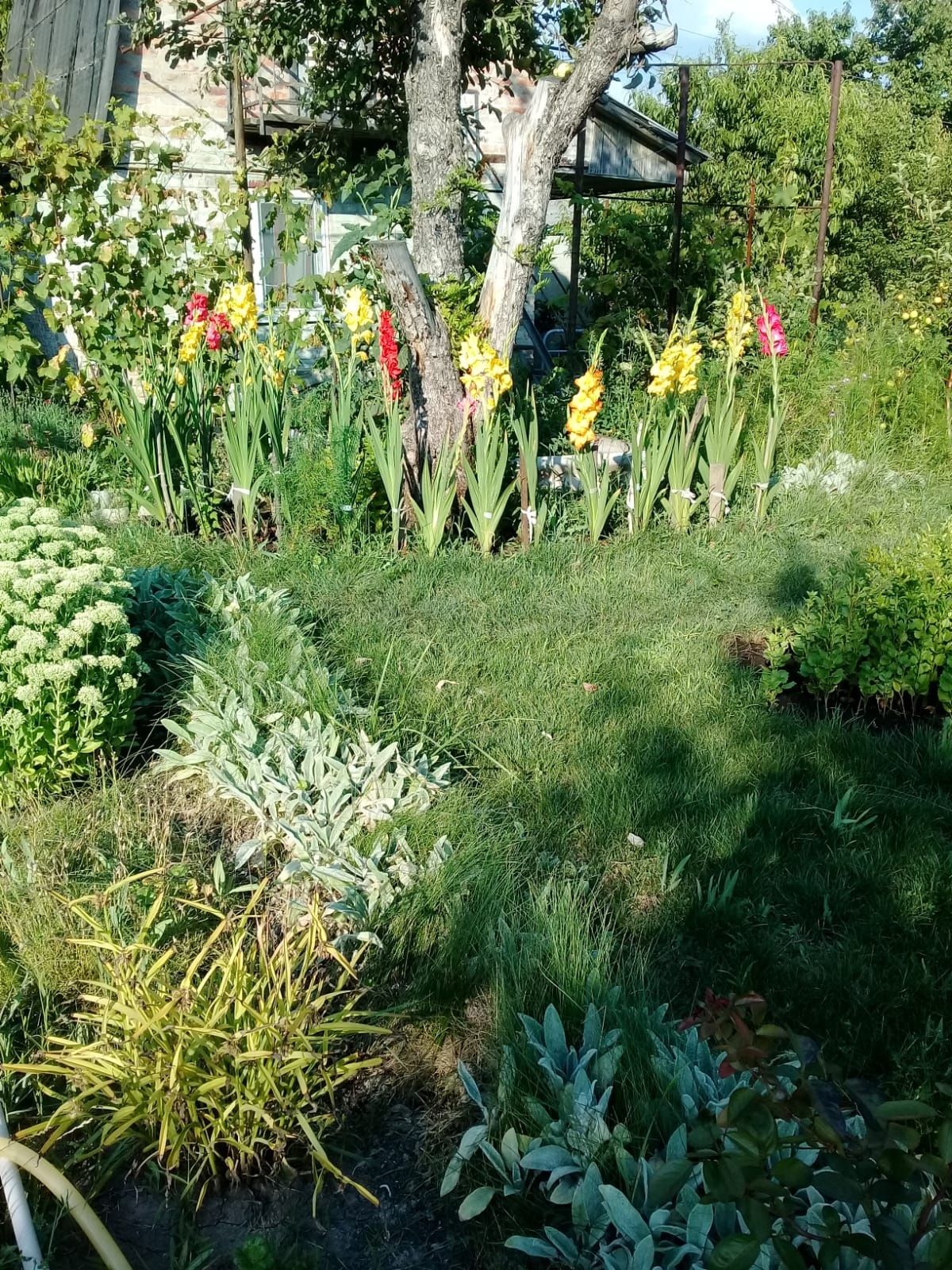 Image 20
