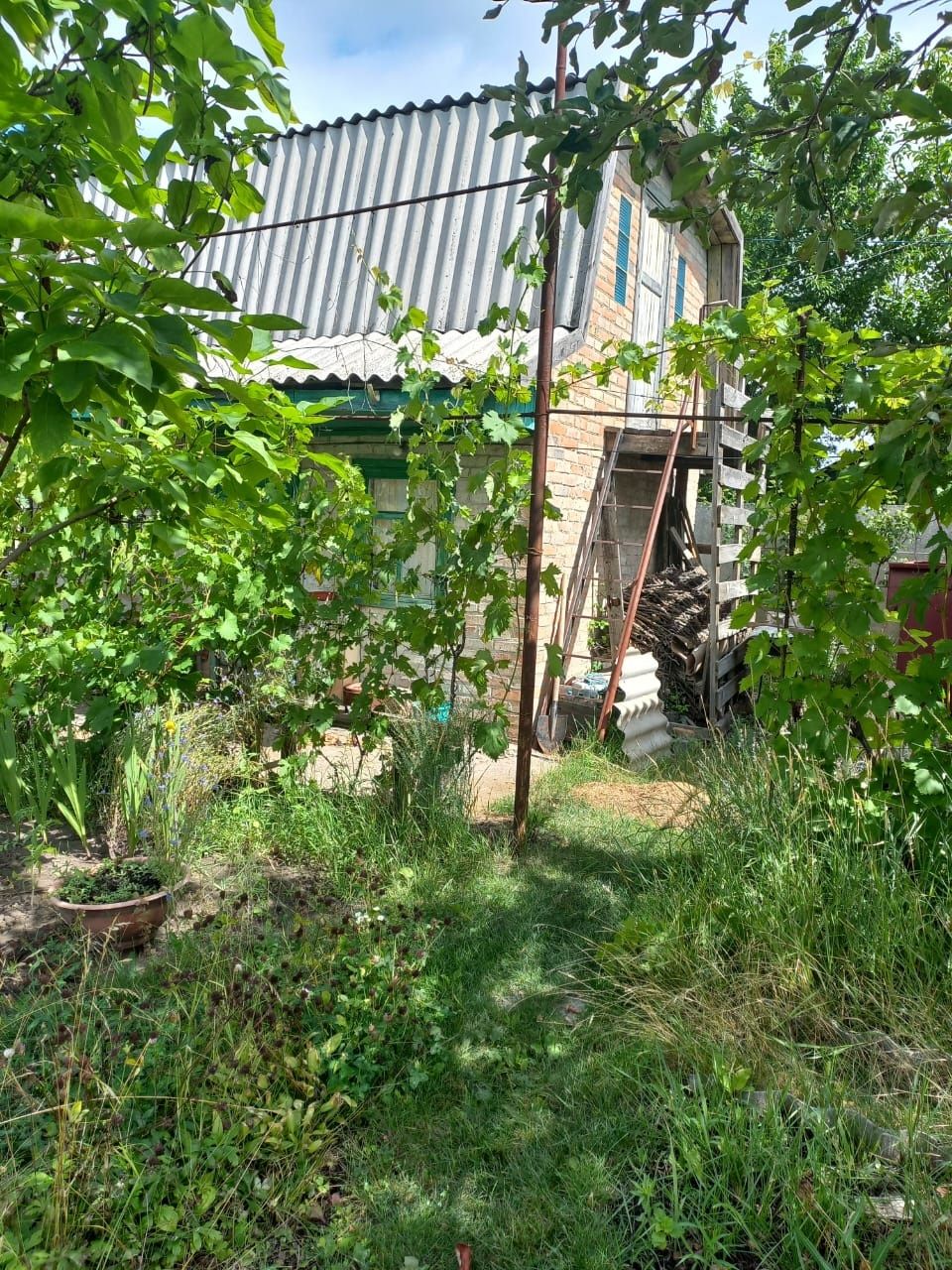 Image 4