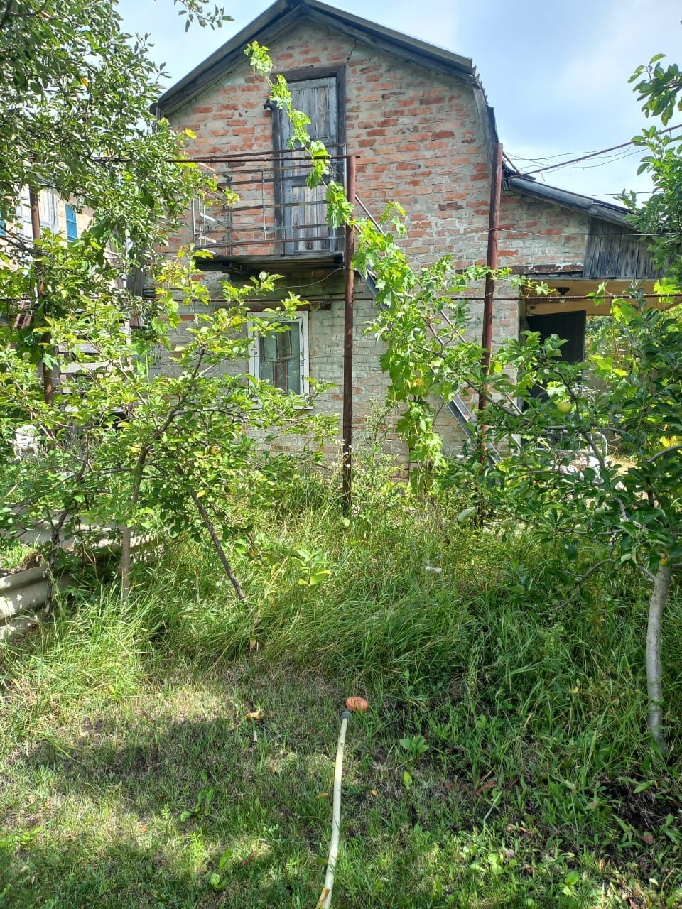 Image 6