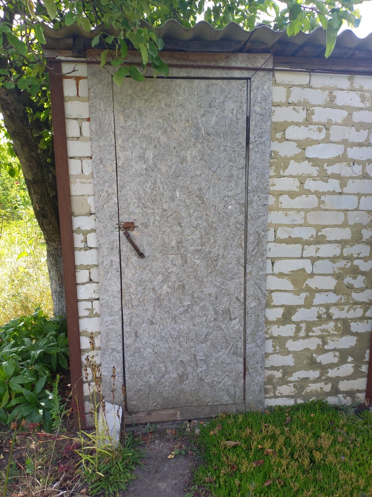 Image 7