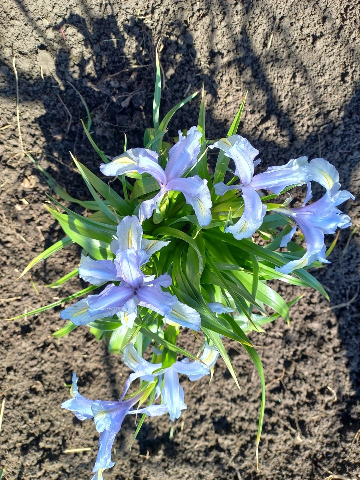 Image 17