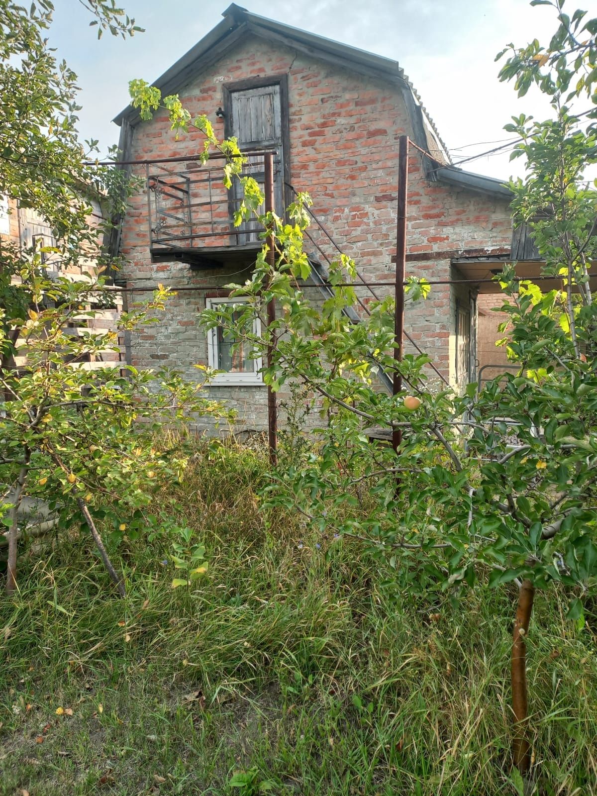 Image 5