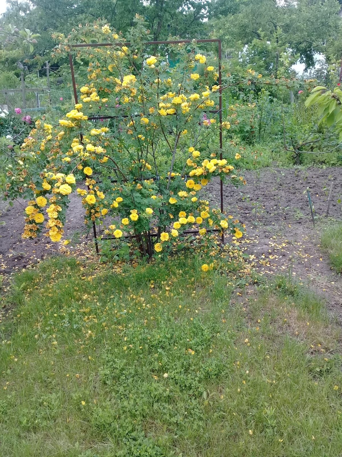 Image 18