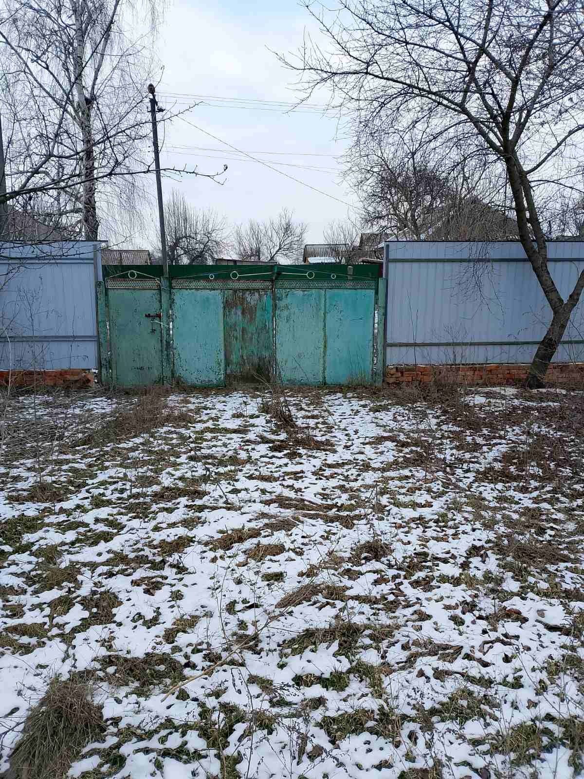 Image 8