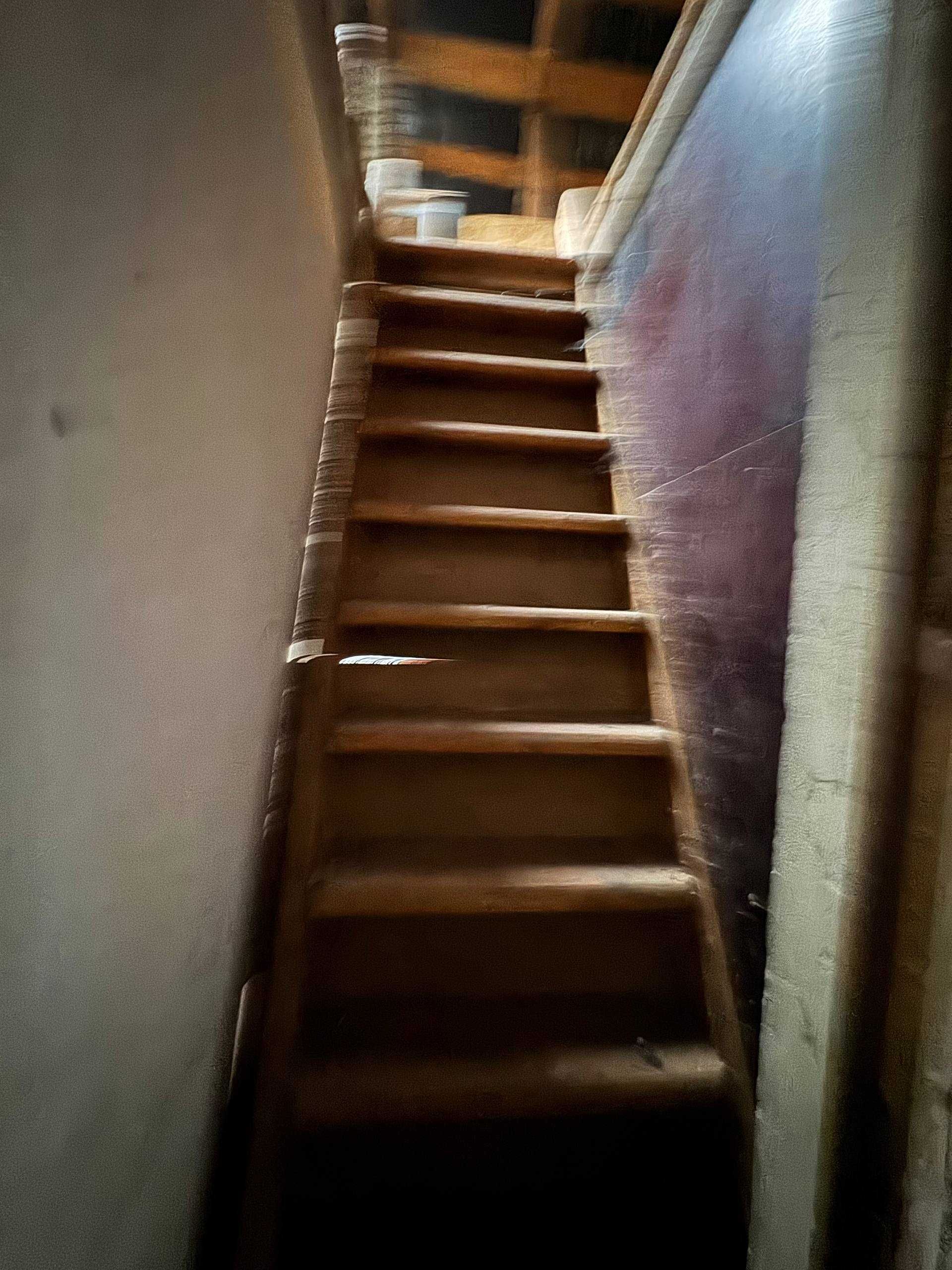 Image 15