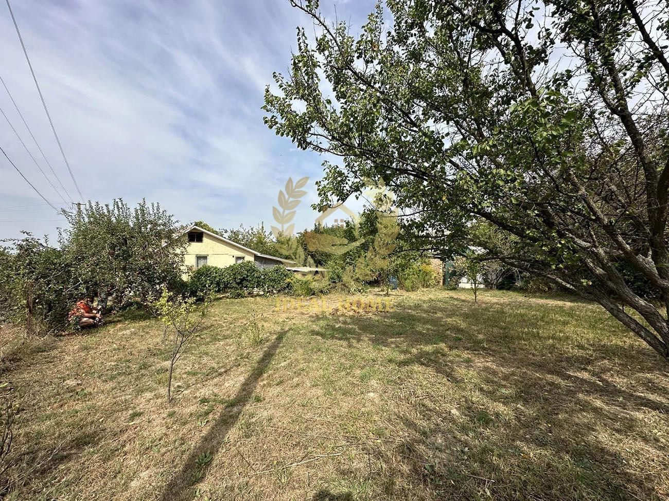 Image 22