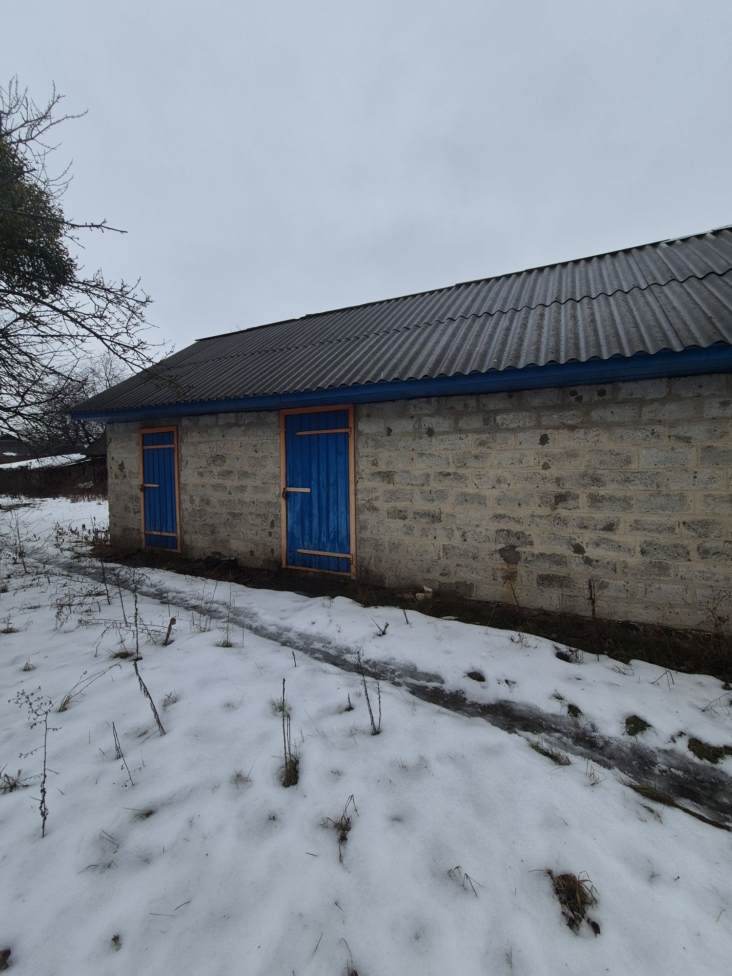 Image 6
