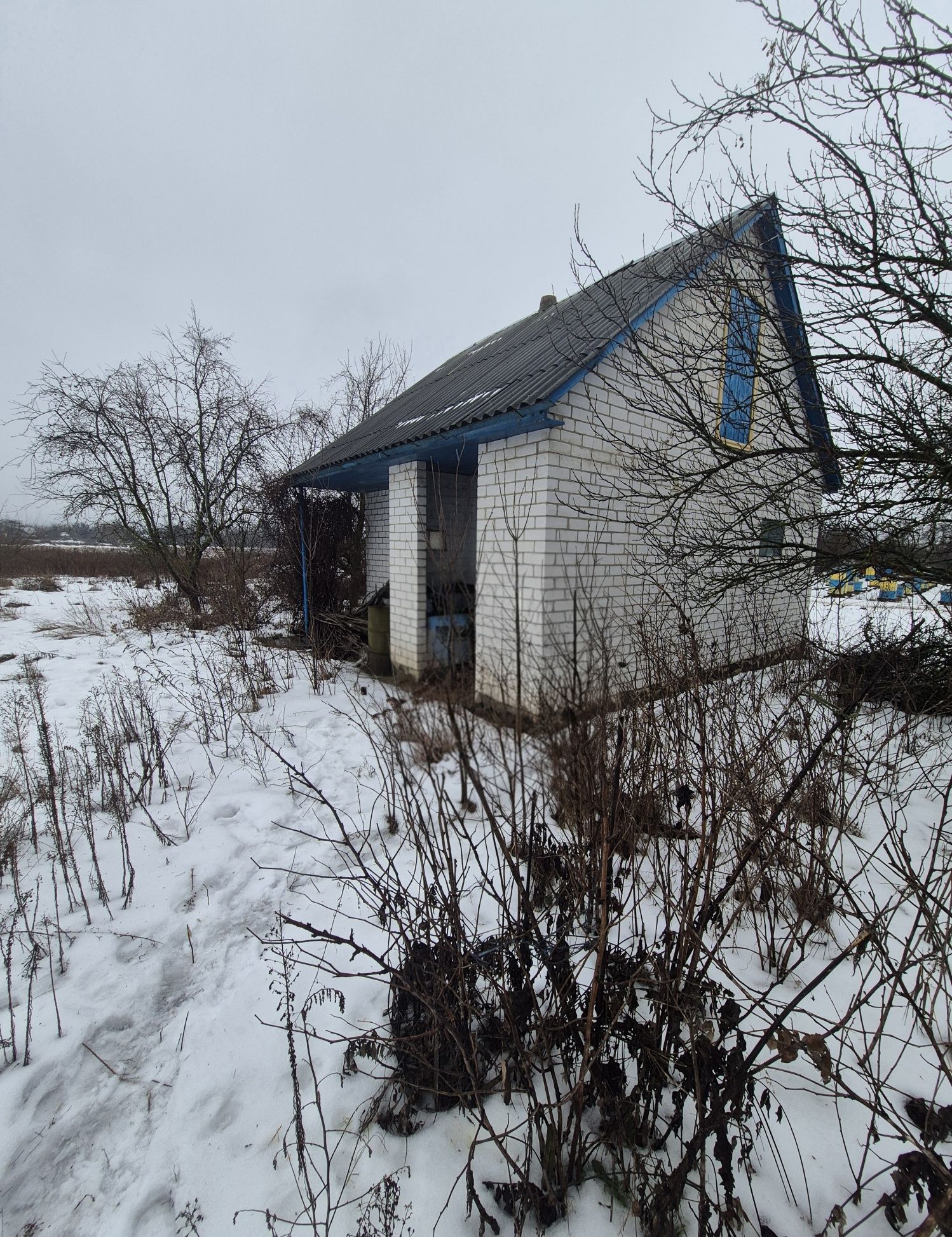 Image 8