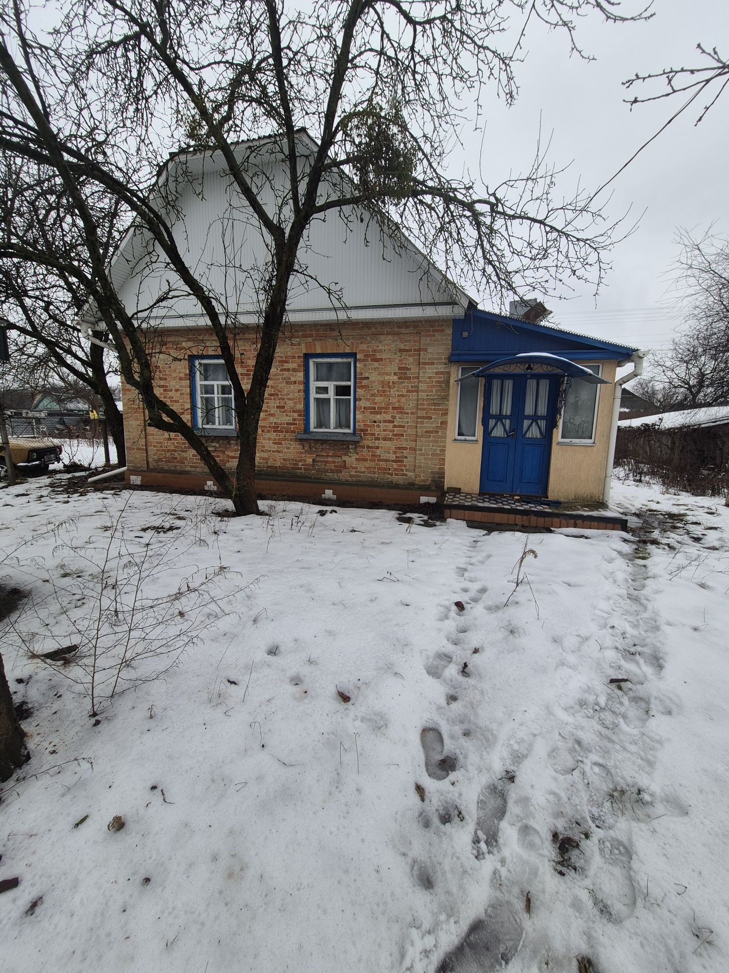 Image 4