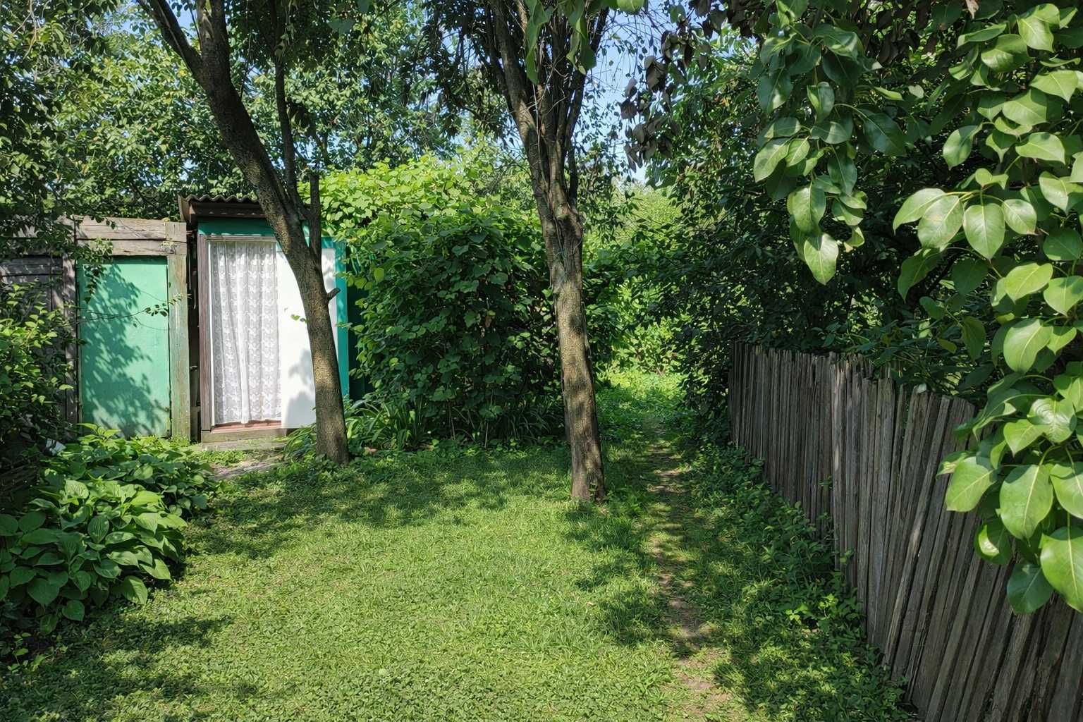 Image 8