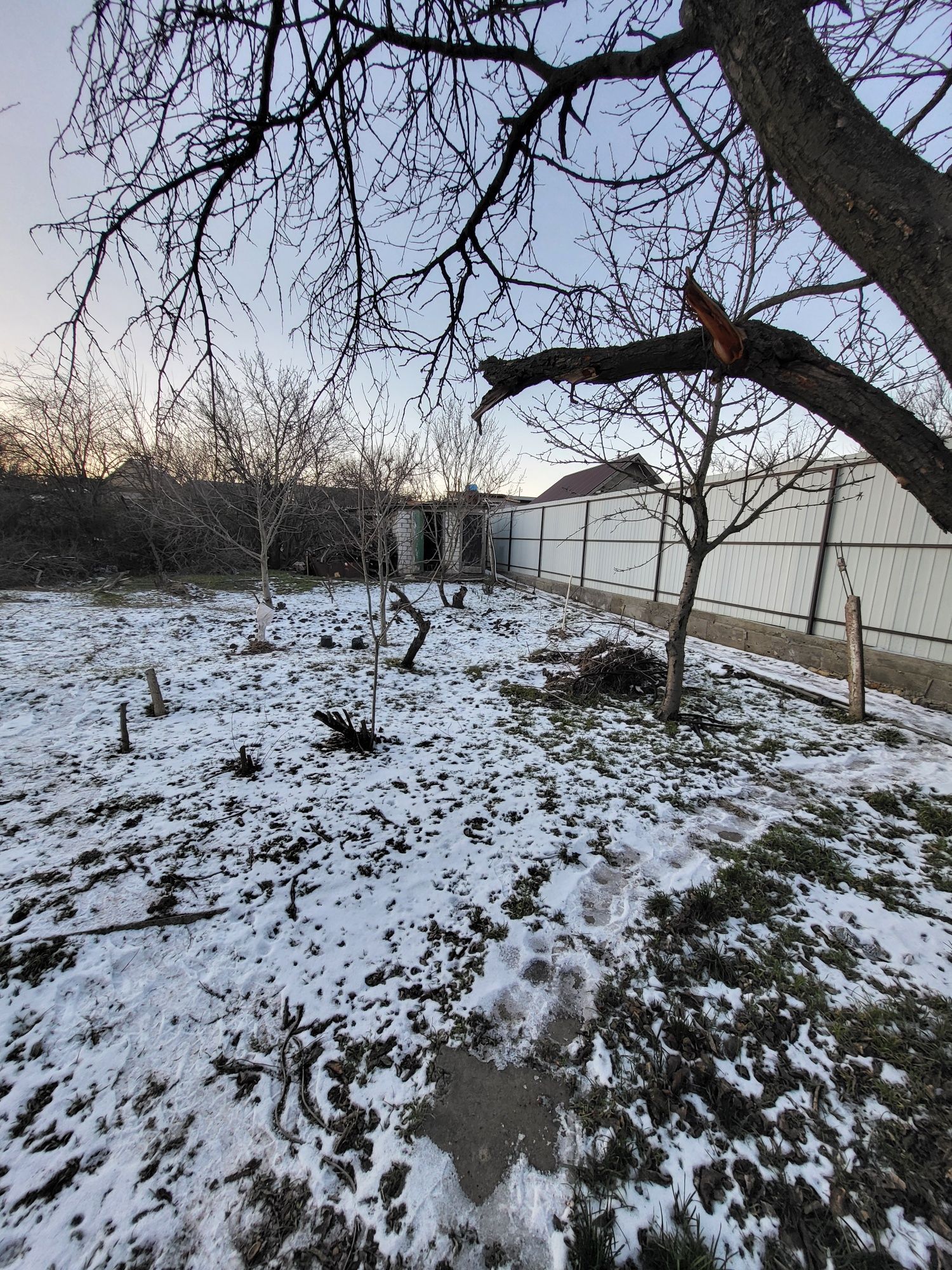 Image 10