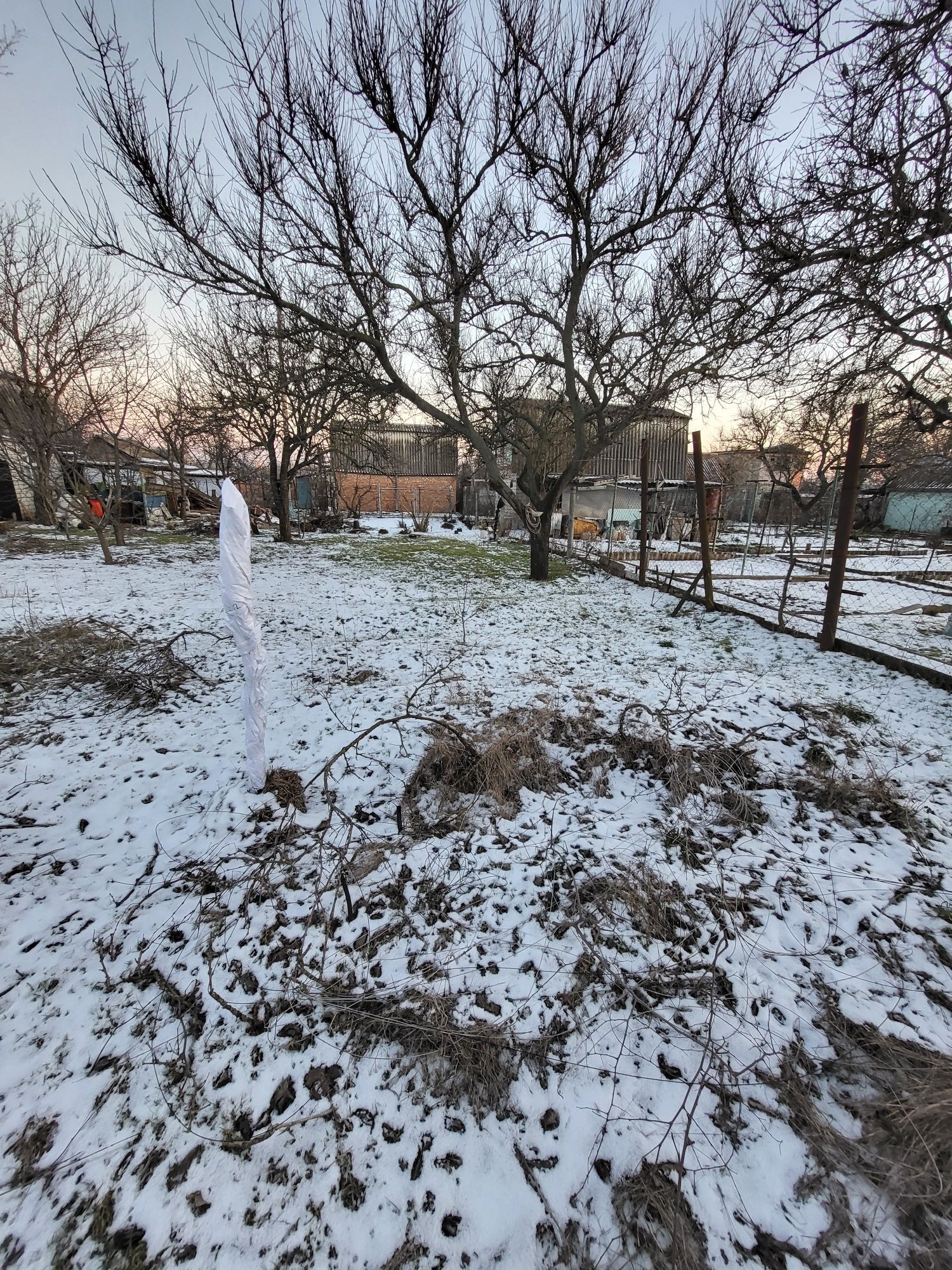 Image 11
