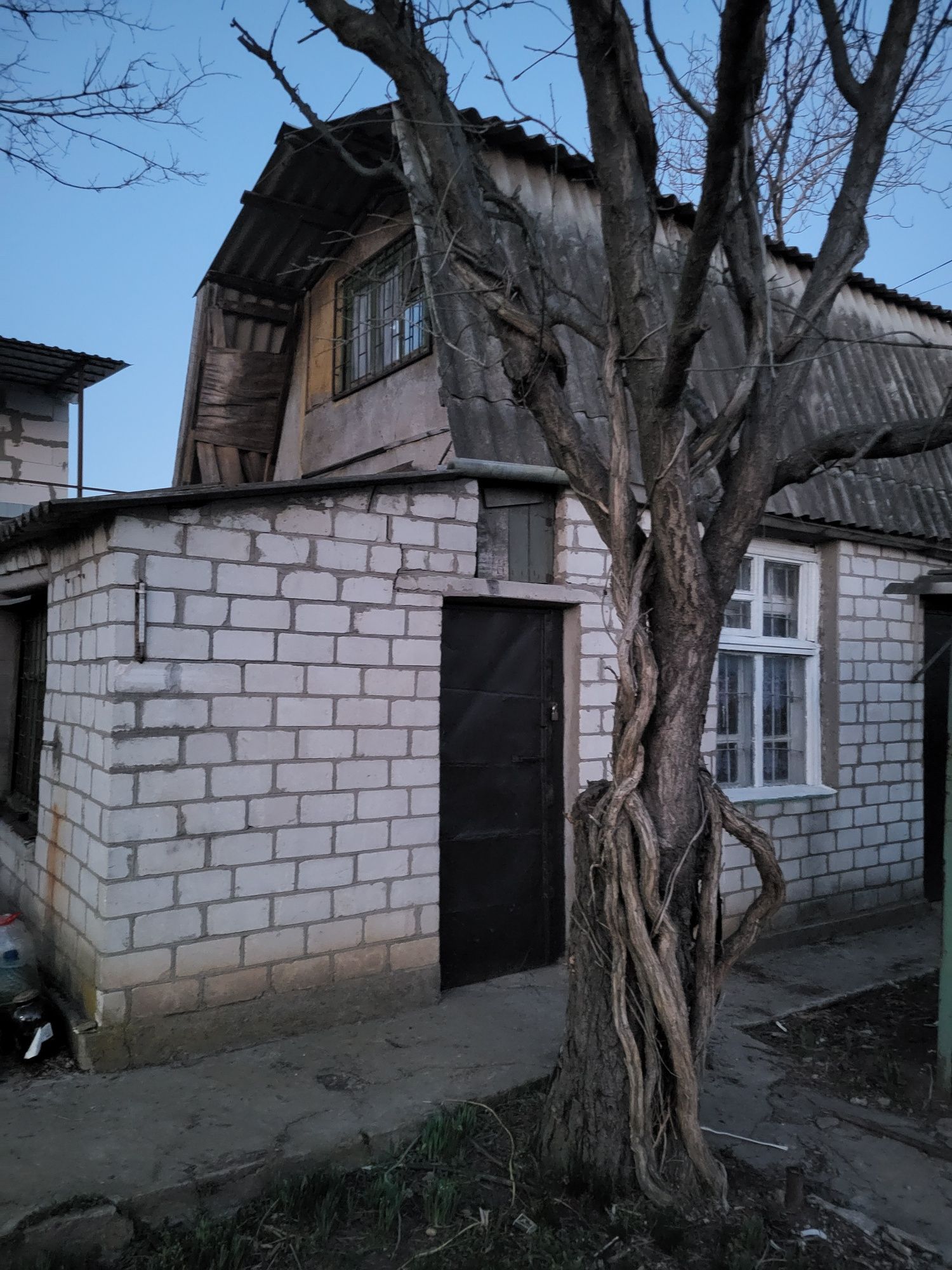 Image 15