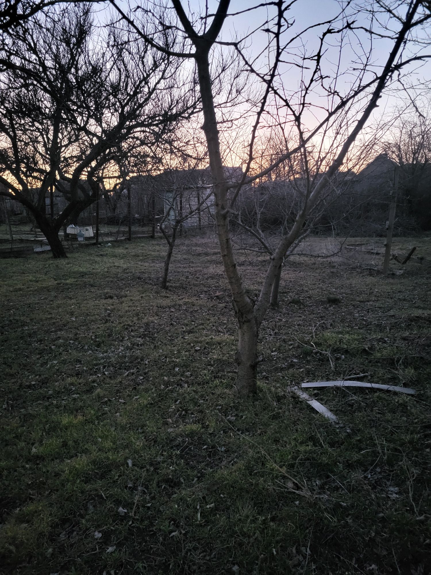 Image 14
