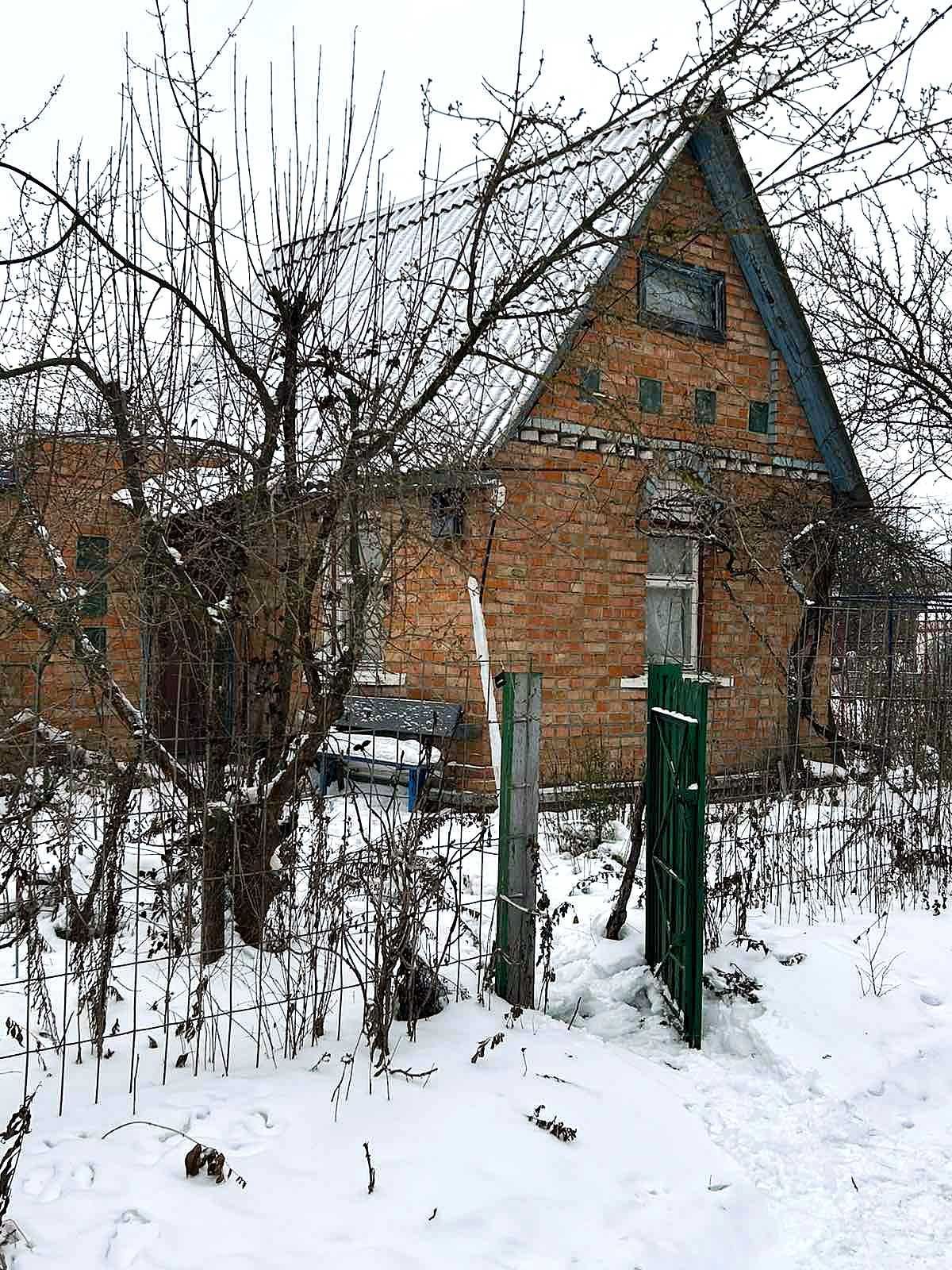Image 14