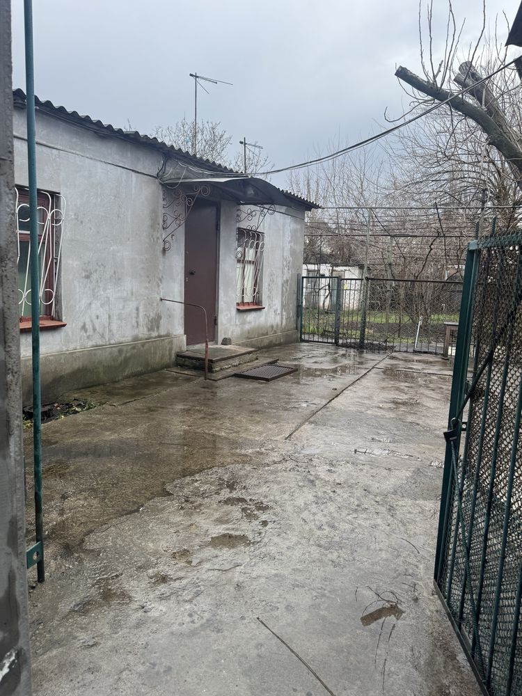Image 13