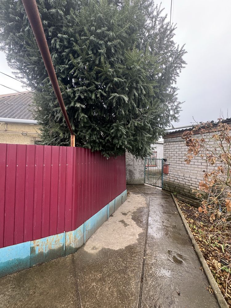 Image 14