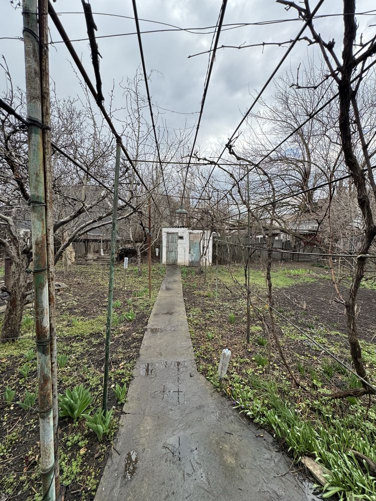 Image 21