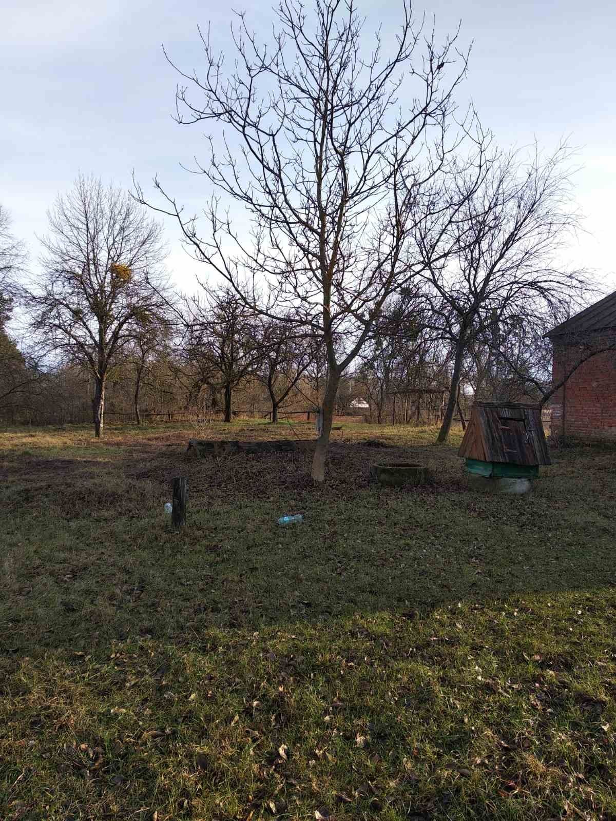 Image 20