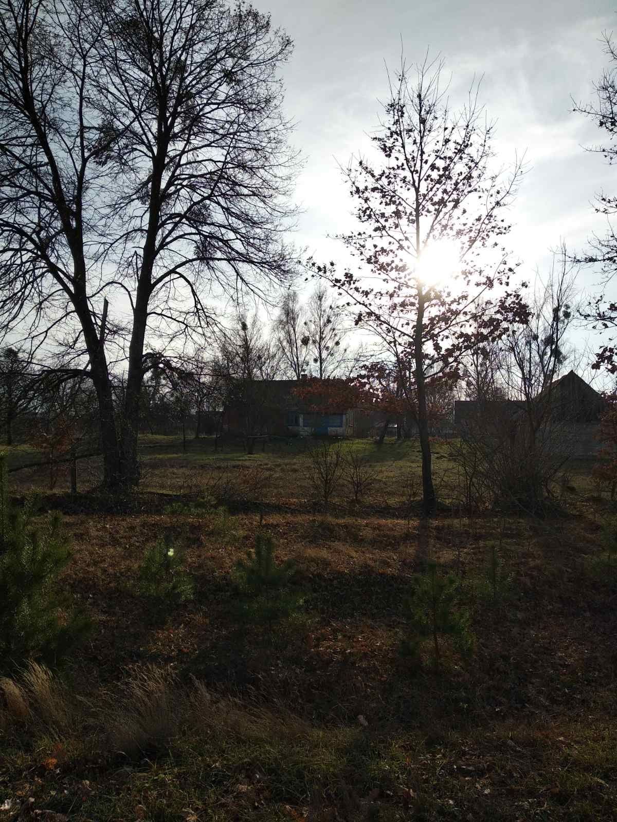 Image 18