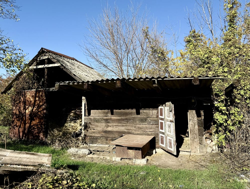 Image 10