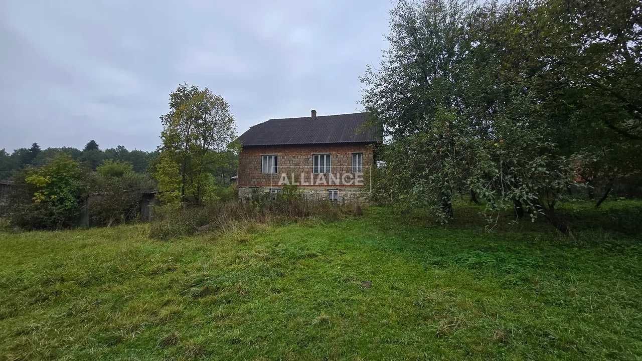 Image 8