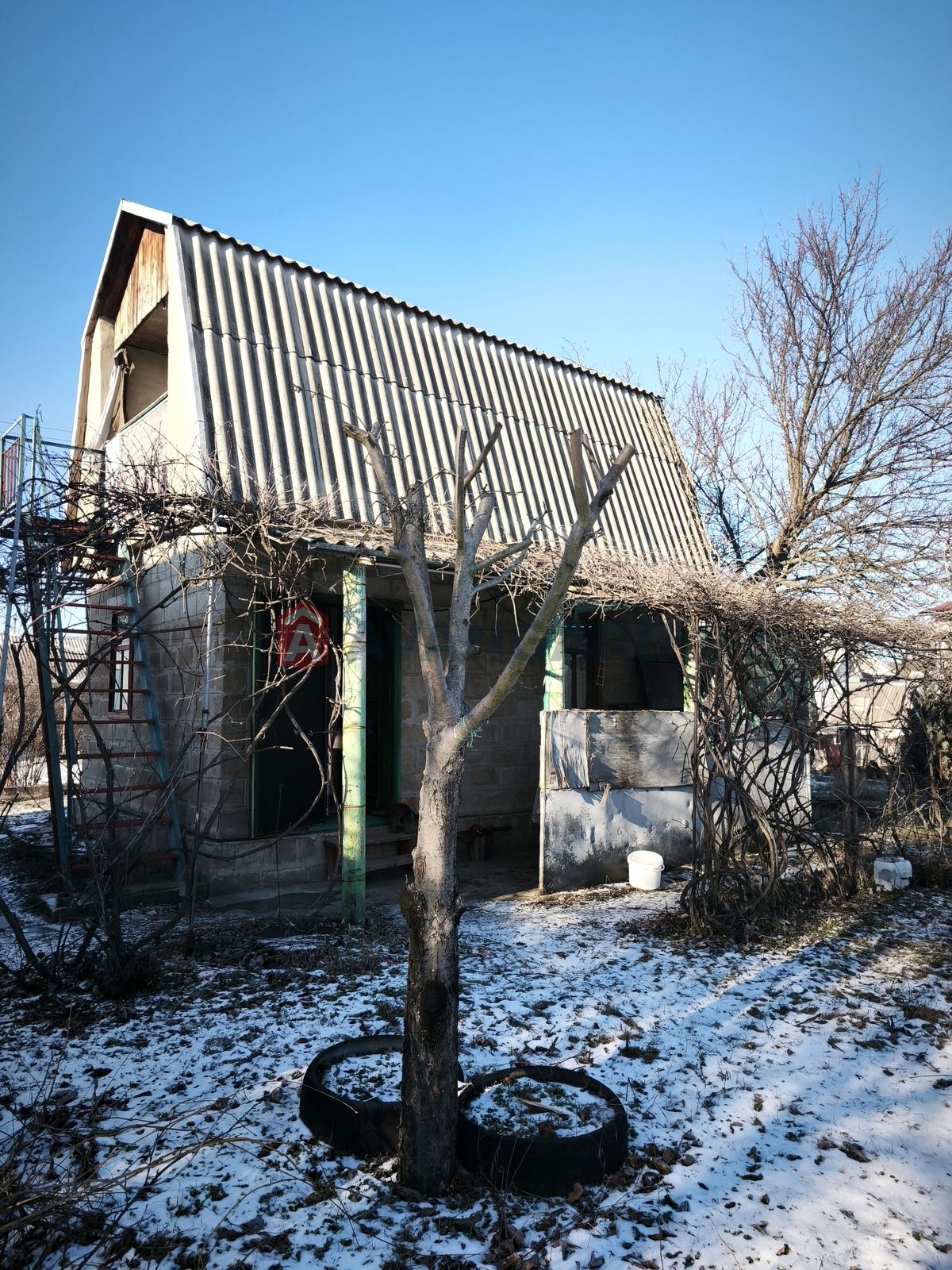 Image 2
