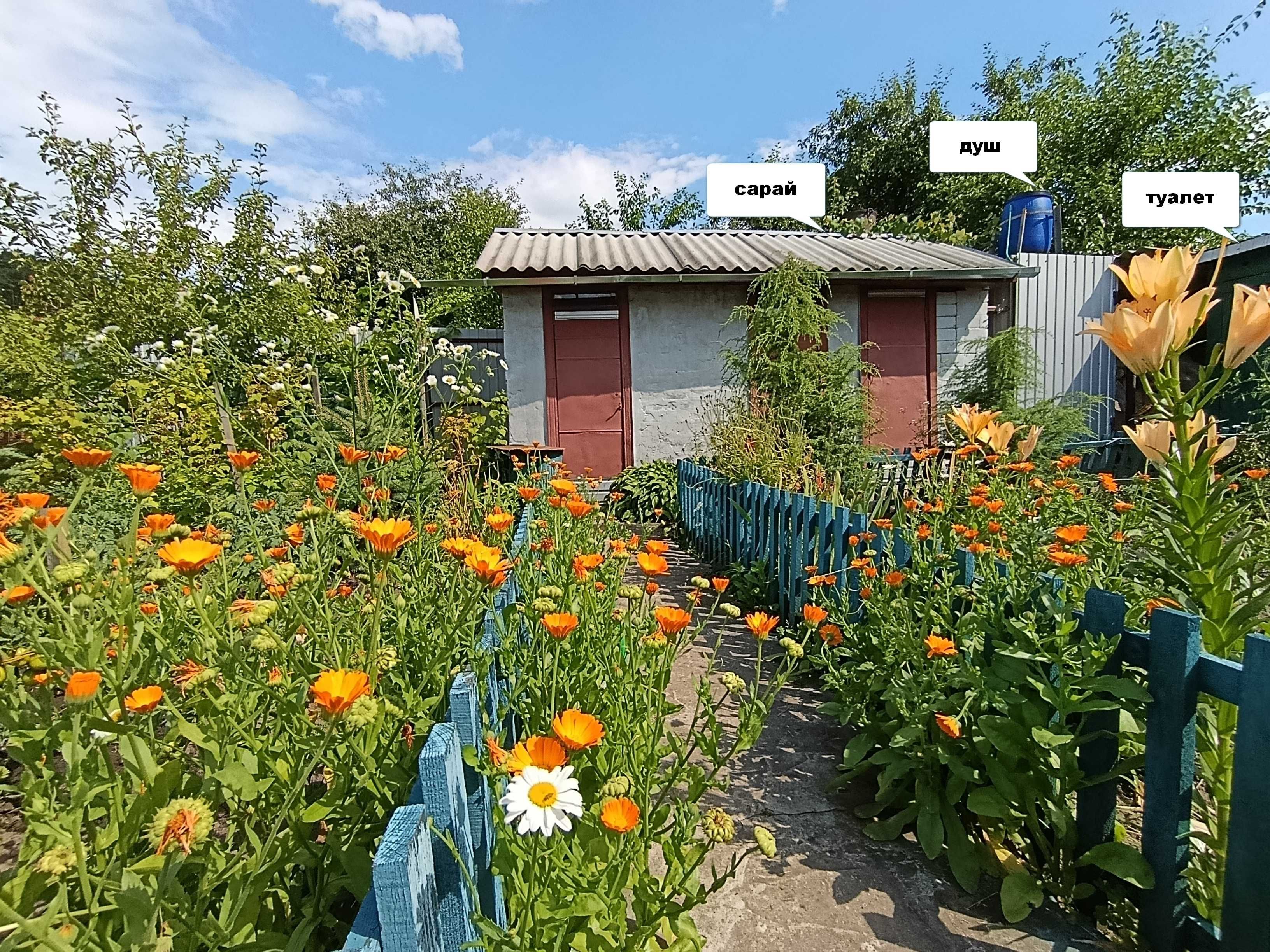 Image 22