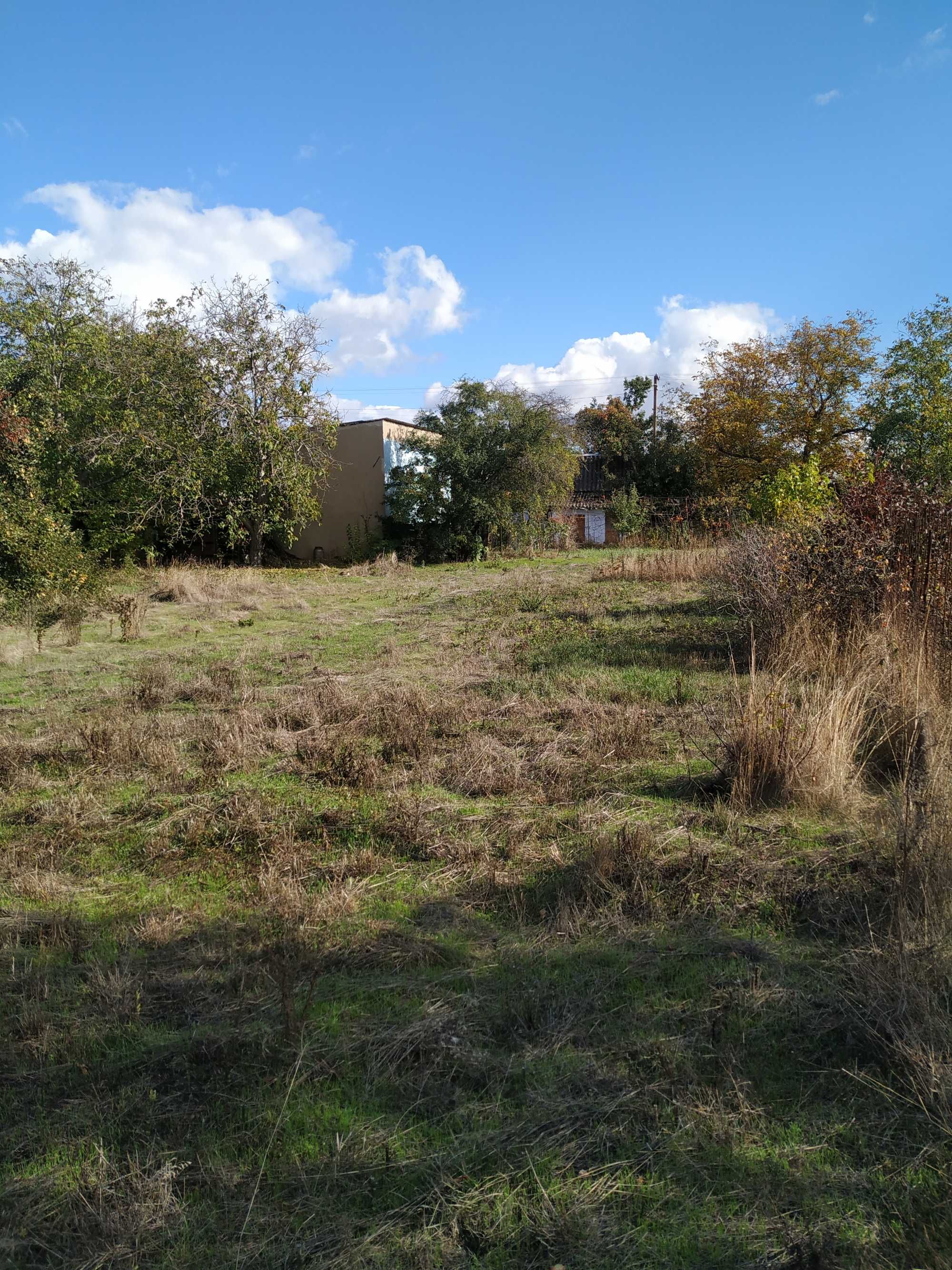 Image 15