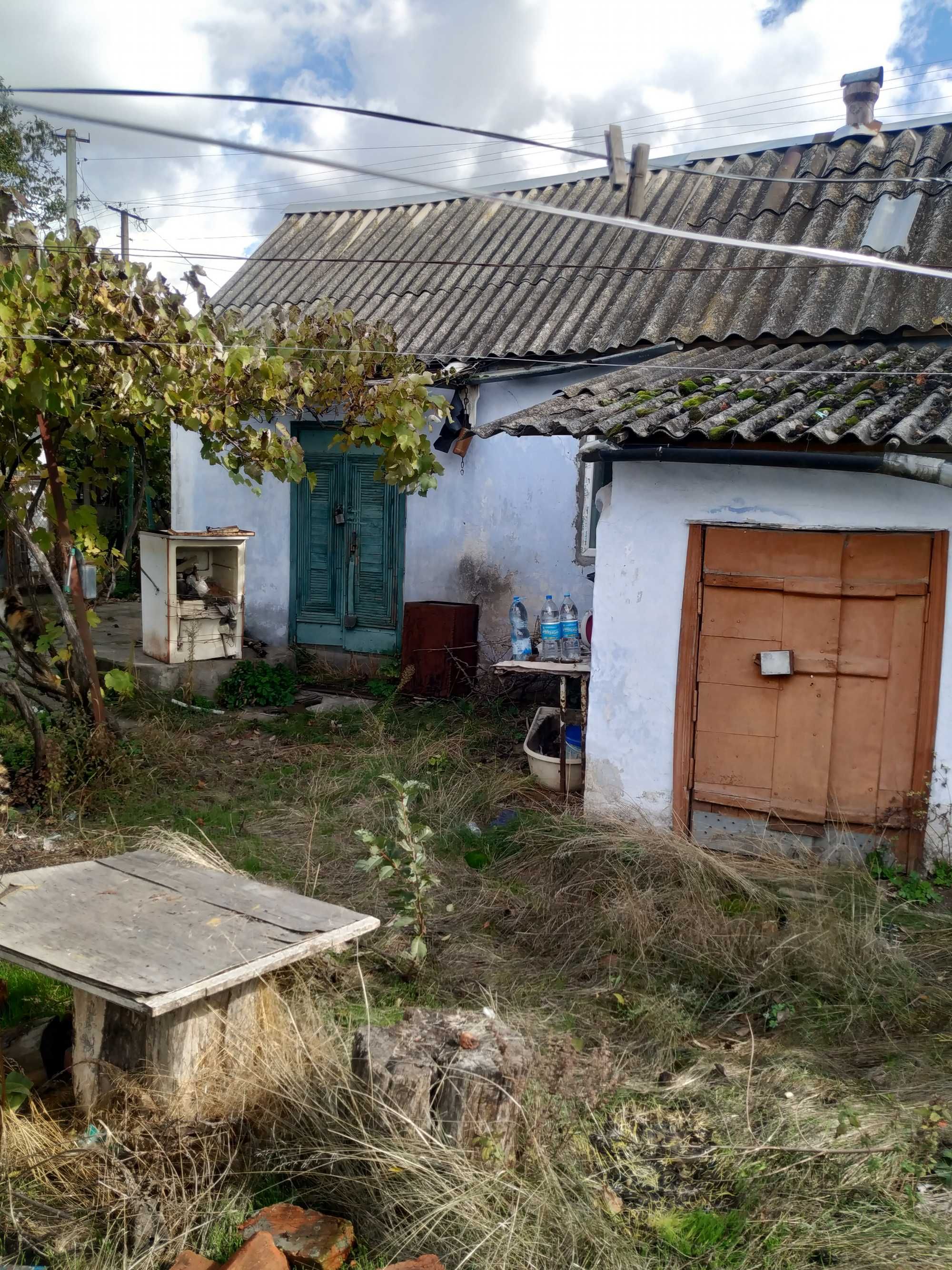 Image 12