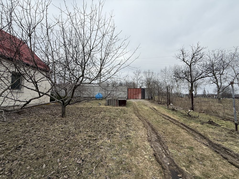 Image 22