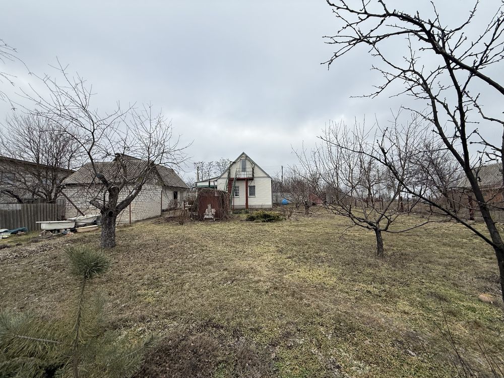 Image 19