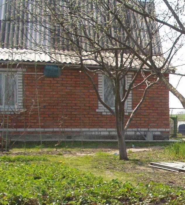 Image 15