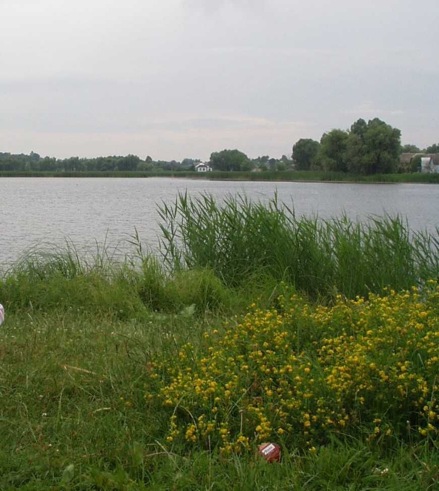 Image 16