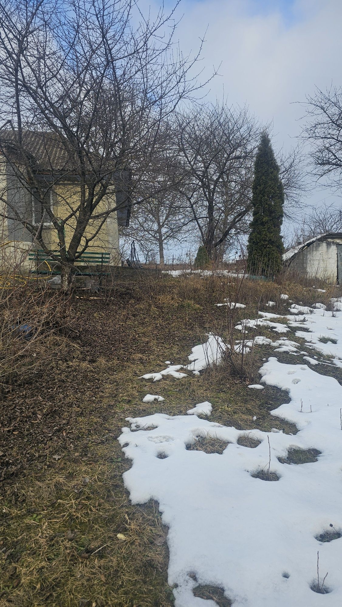 Image 16