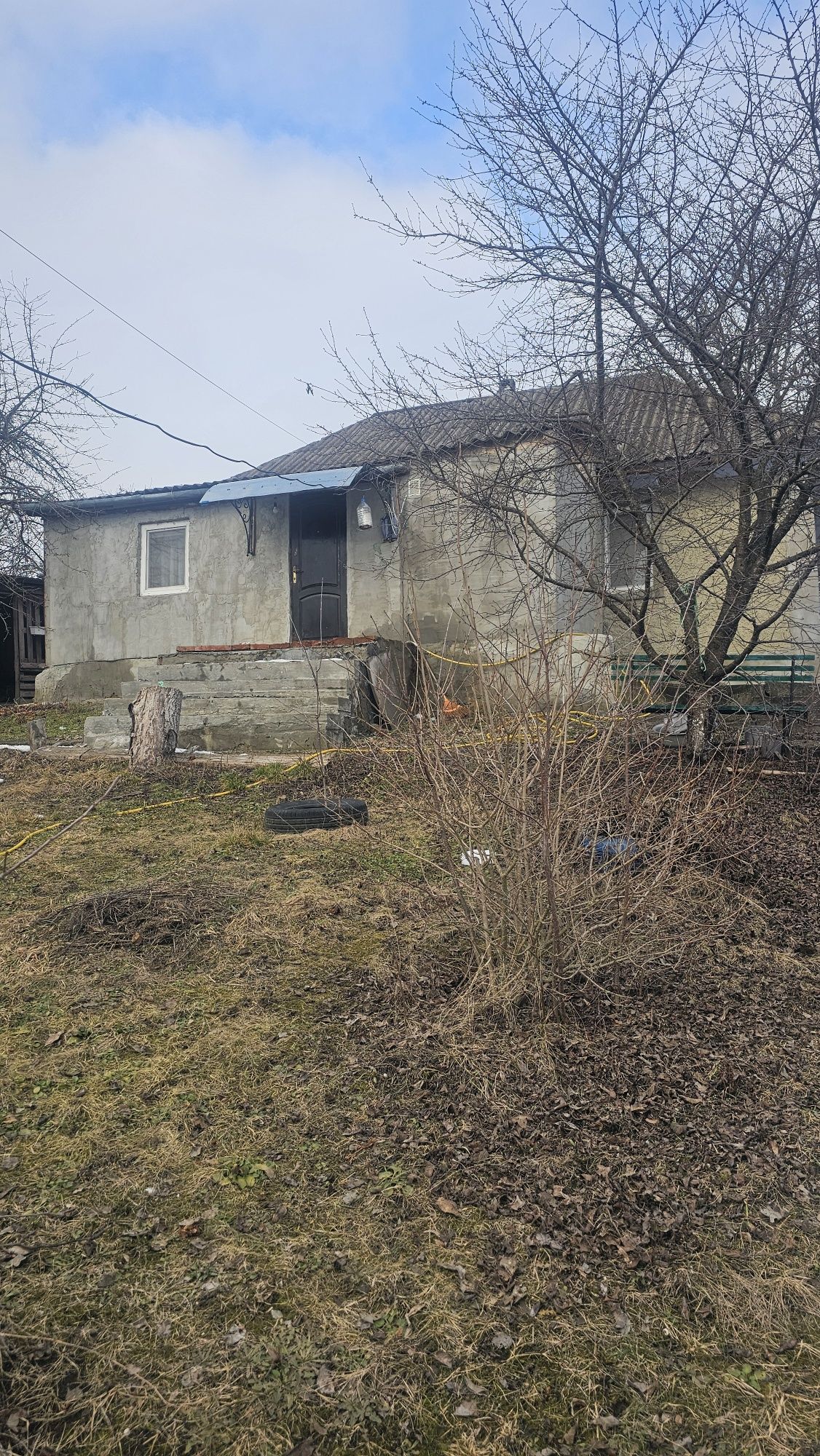 Image 15
