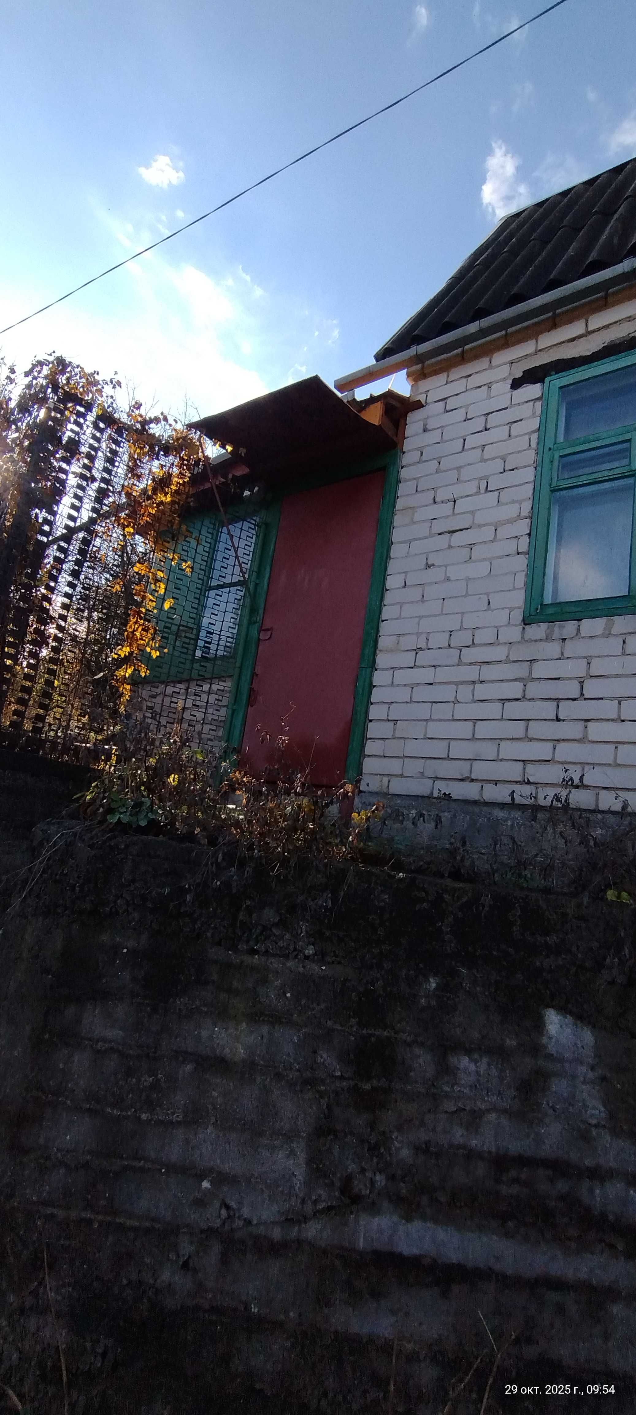 Image 10