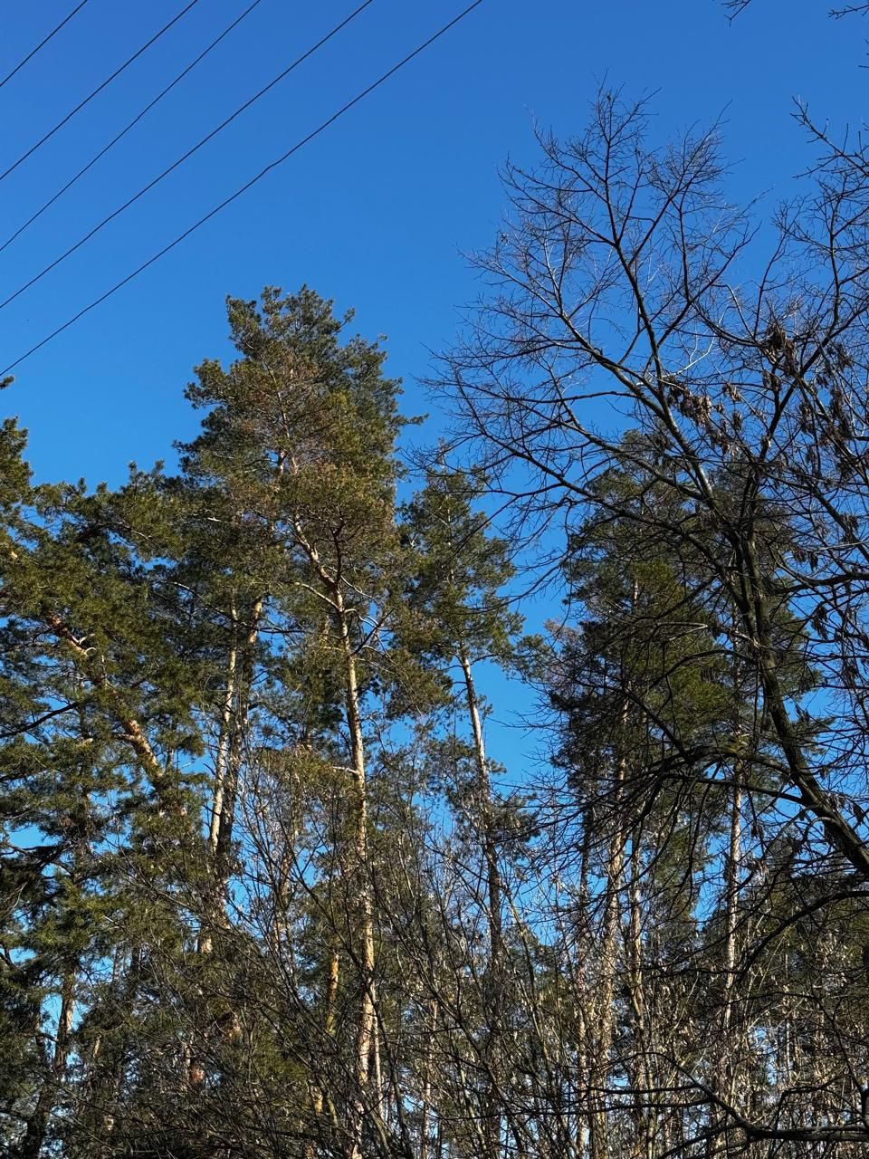 Image 14