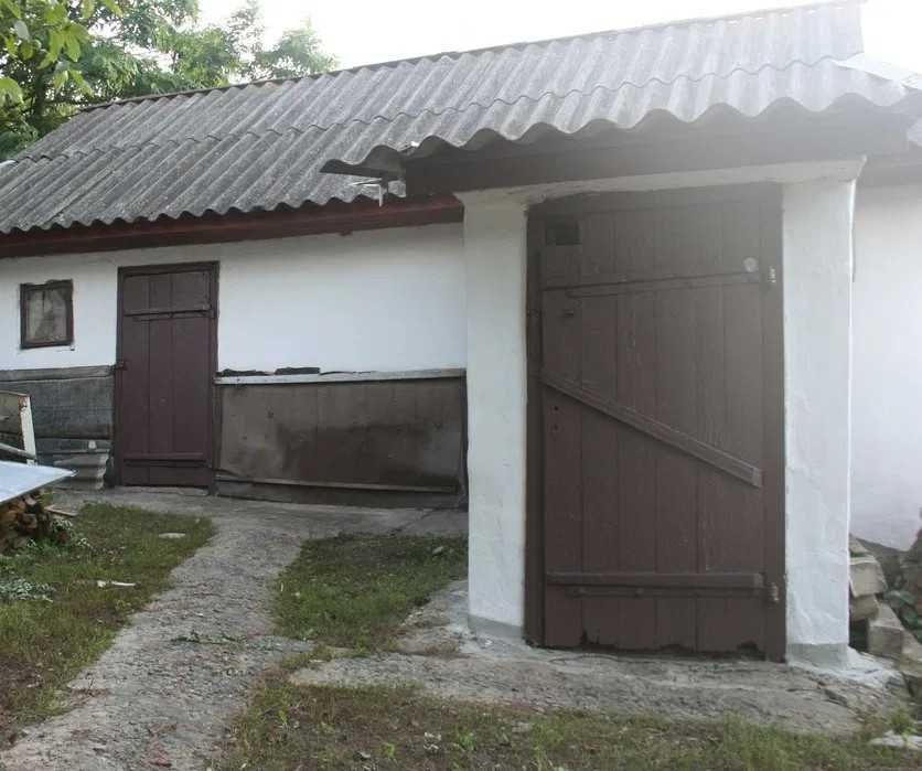 Image 10