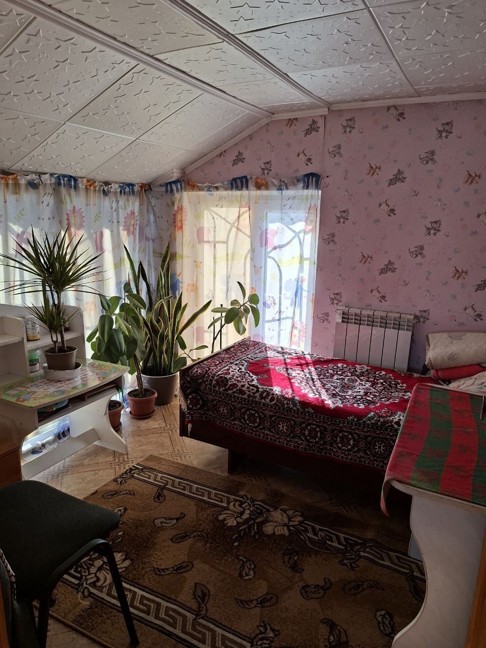 Image 12