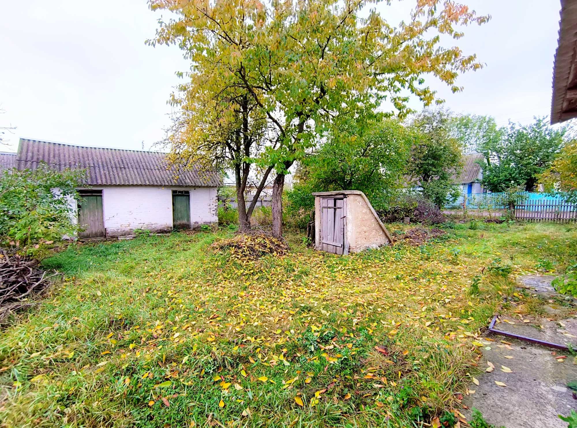 Image 21