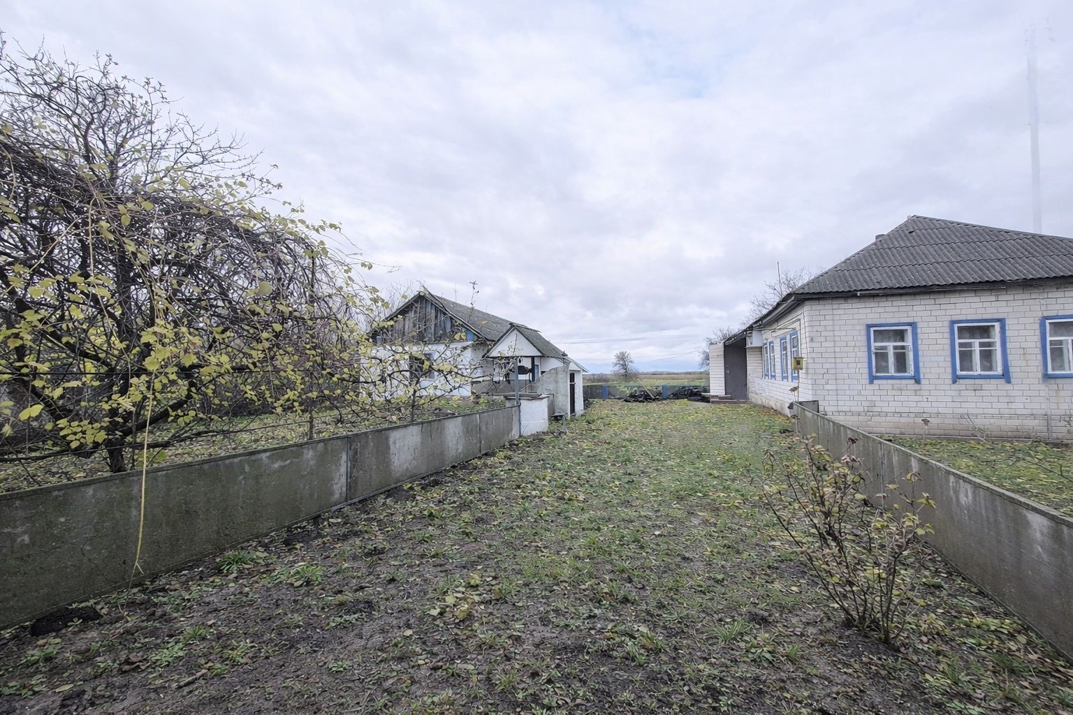 Image 13