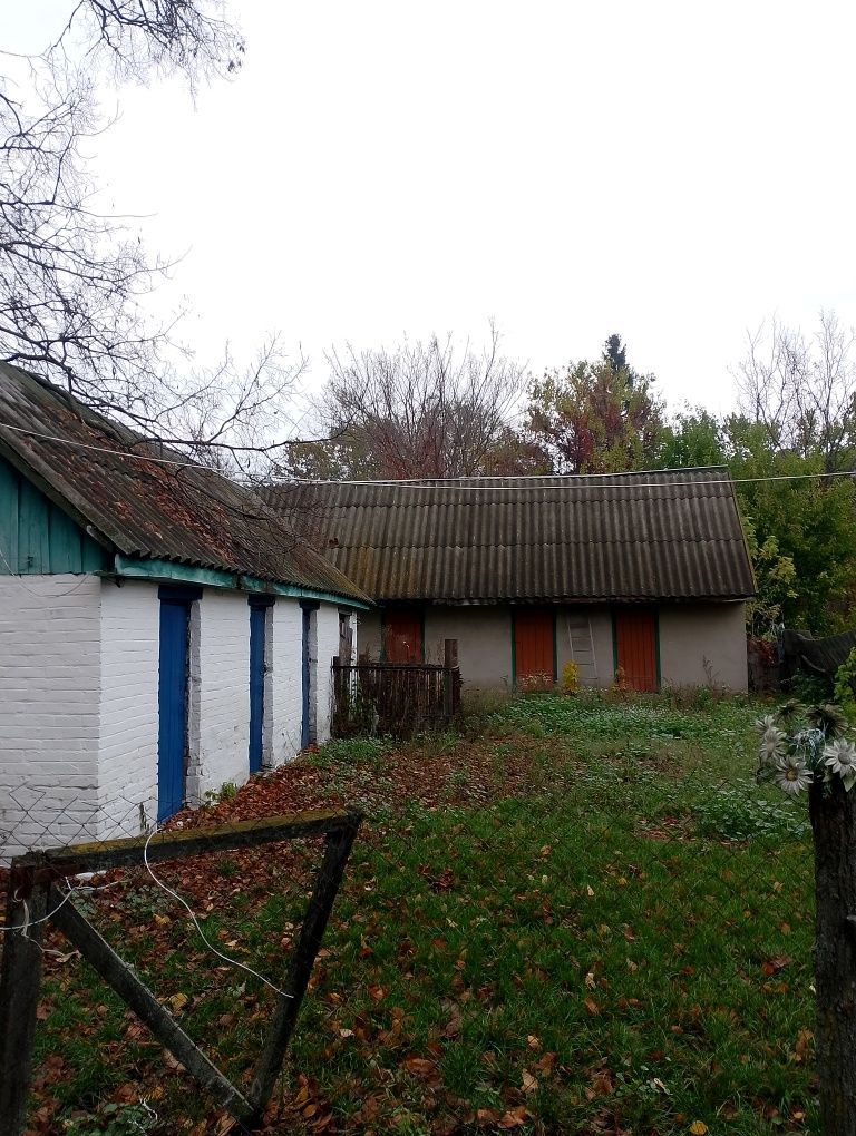 Image 20