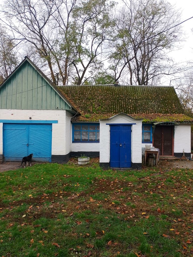 Image 22