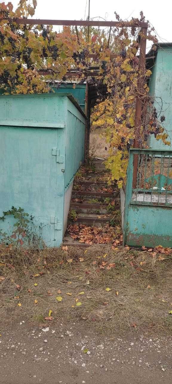 Image 6
