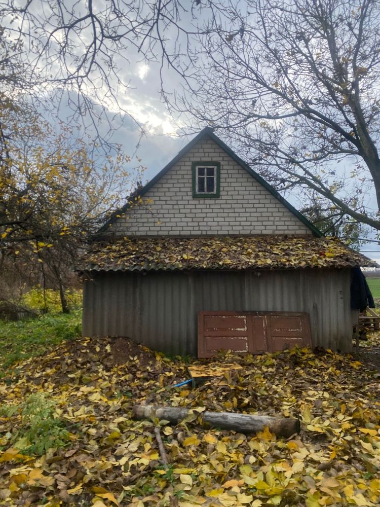 Image 12