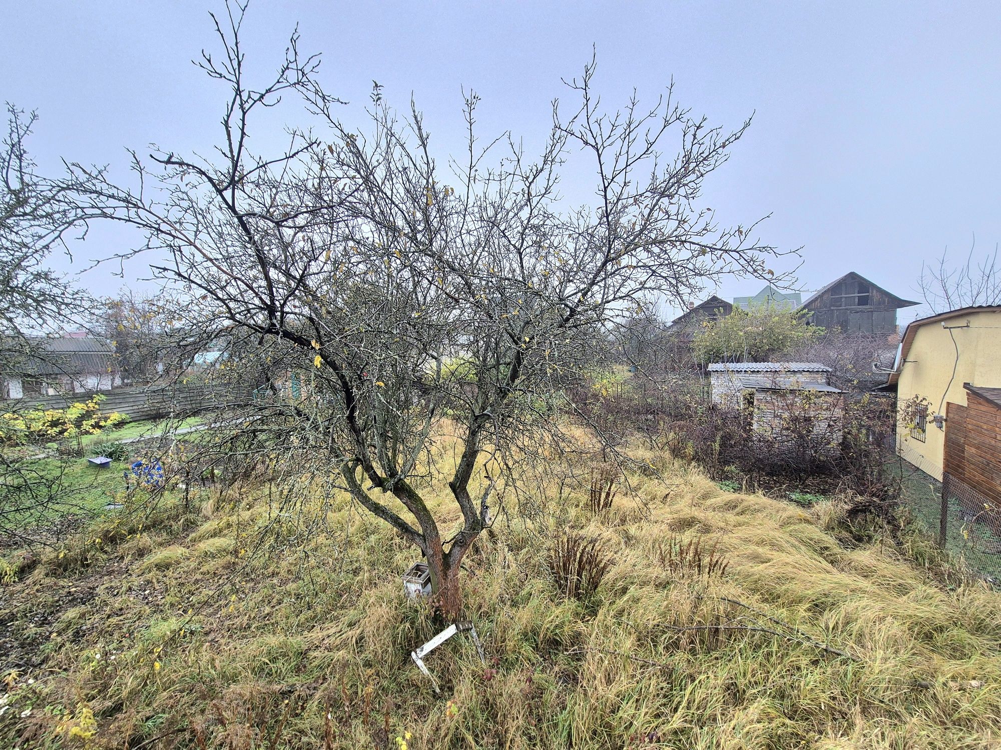 Image 18